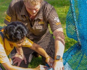 Dr. Luke Gamble vaccinates a dog in India while a woman assists